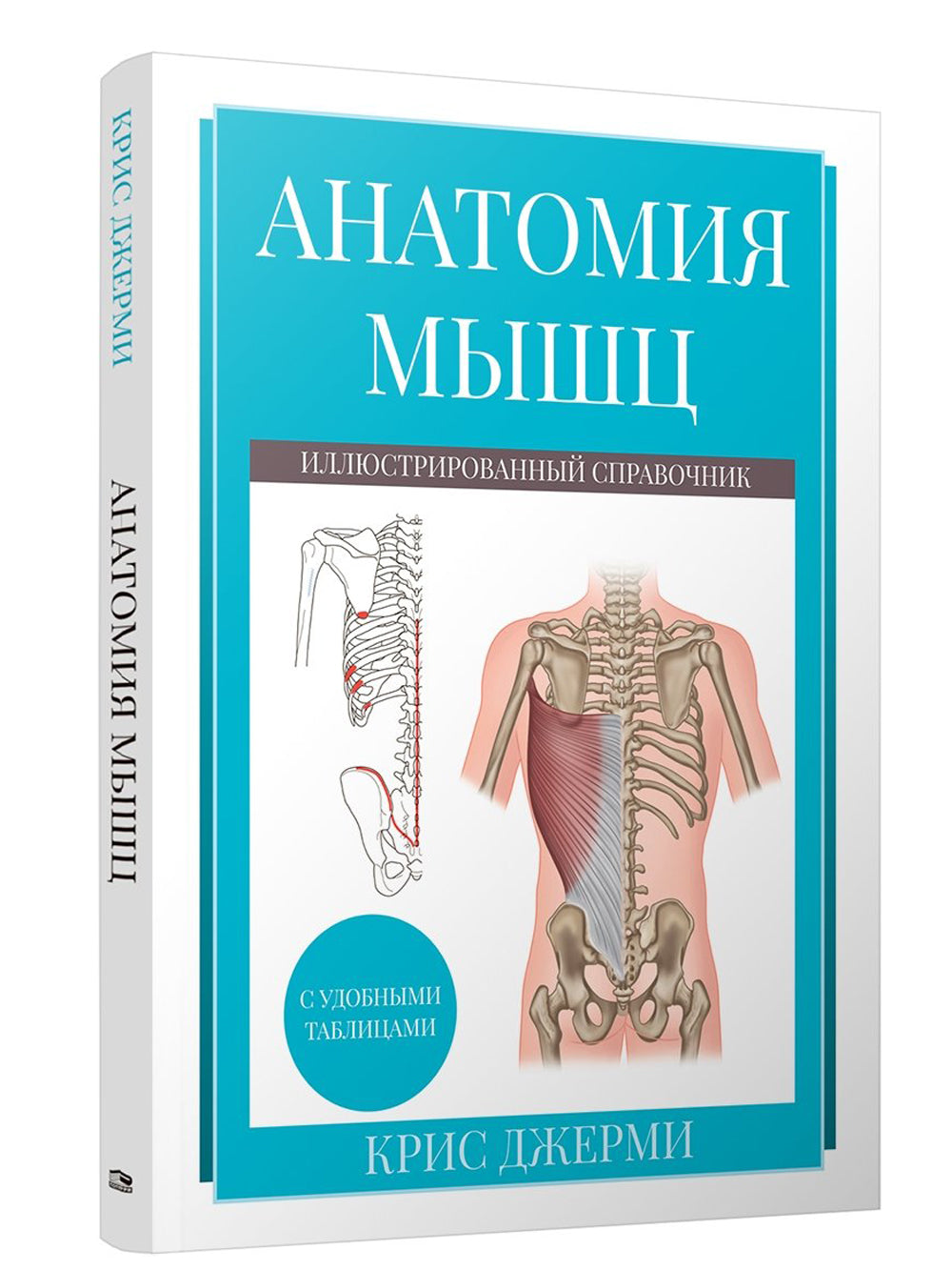 Анатомия мышц: иллюстрированный справочник