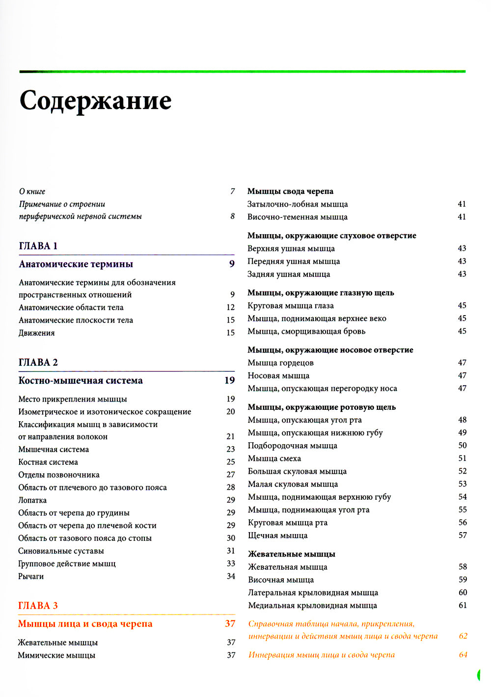 Анатомия мышц: иллюстрированный справочник