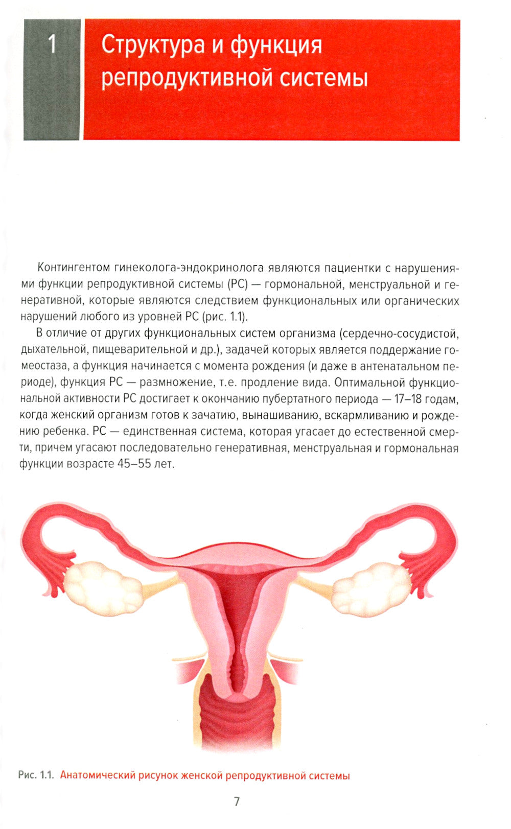 Справочник гинеколога-эндокринолога