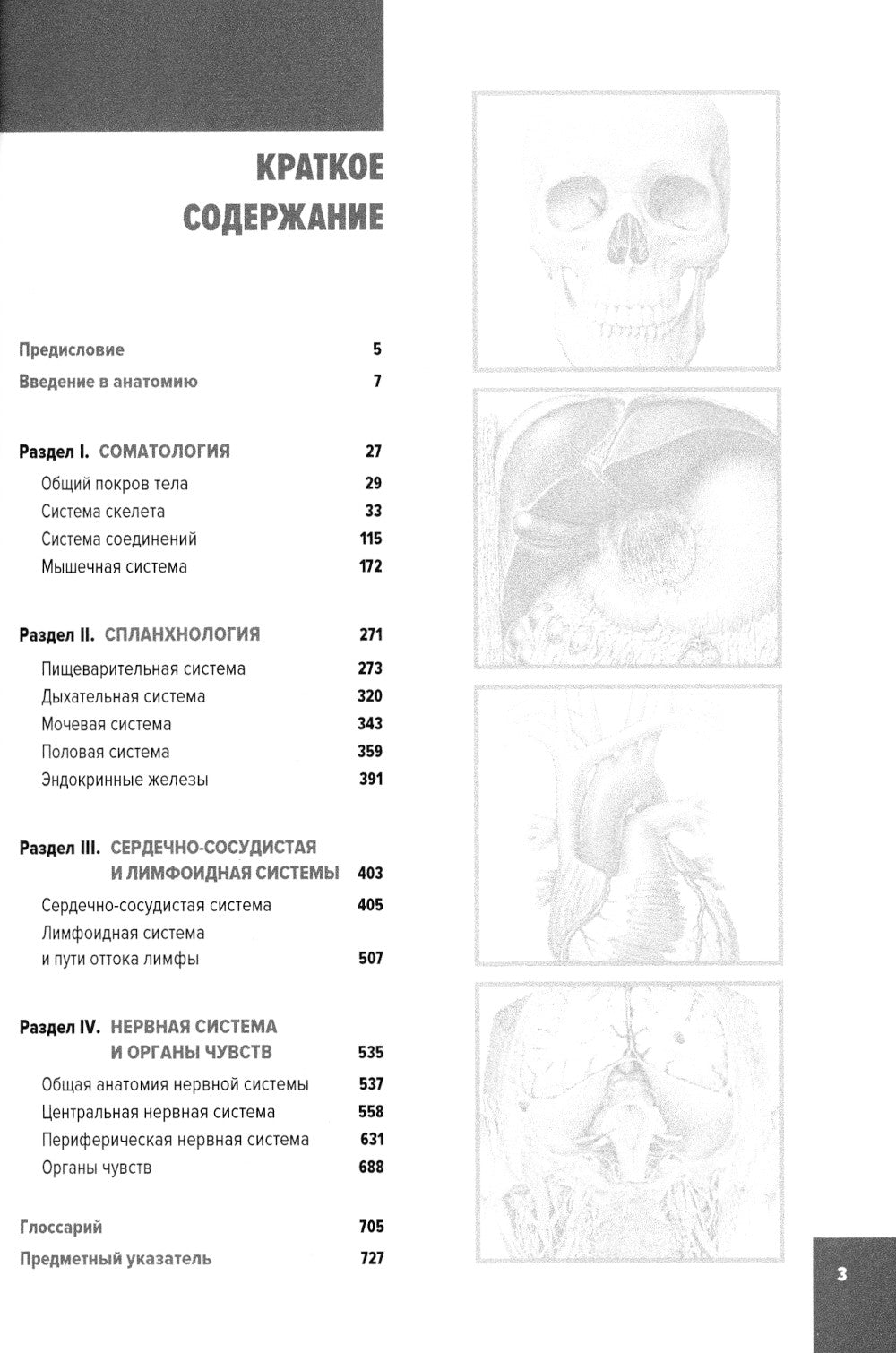 Анатомия человека: Учебник для медицинских вузов. 2-е изд., испр. и доп