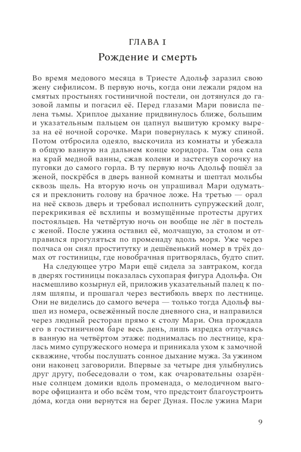 Венский гений Эгон Шиле: роман