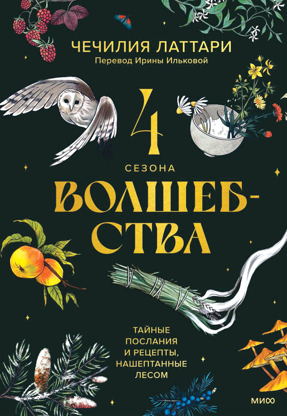 4 сезон волшебства. Тайные послания и рецепты, нашптанный лесом