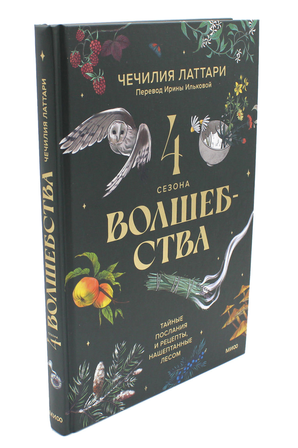 4 сезон волшебства. Тайные послания и рецепты, нашптанный лесом