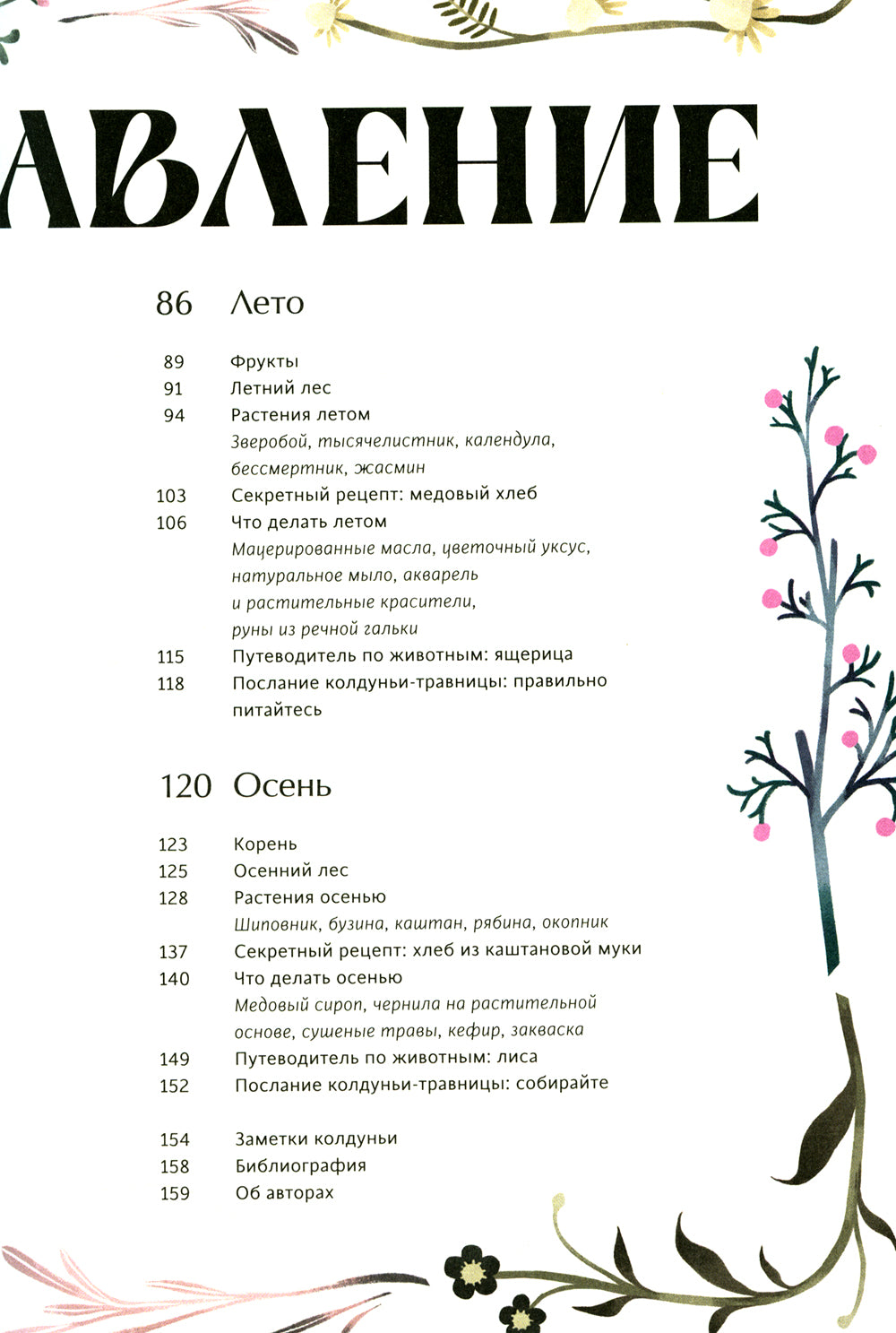 4 сезон волшебства. Тайные послания и рецепты, нашптанный лесом