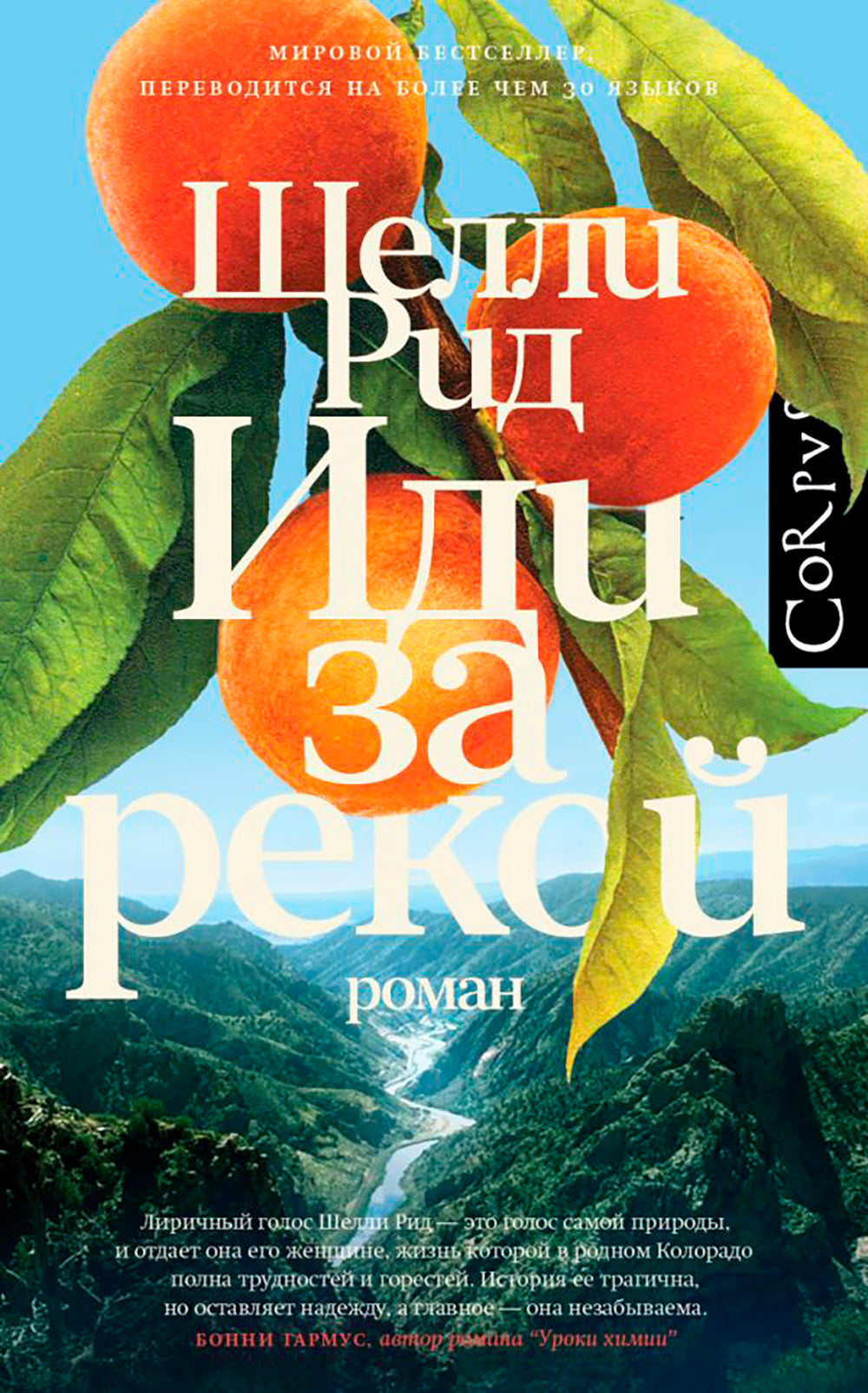 Иди за рекой: роман