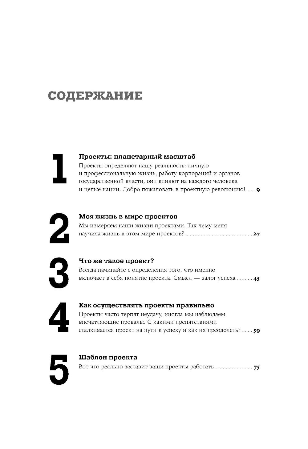 Цель как проект: Как успешно решать любые задачи с помощью проектного визита