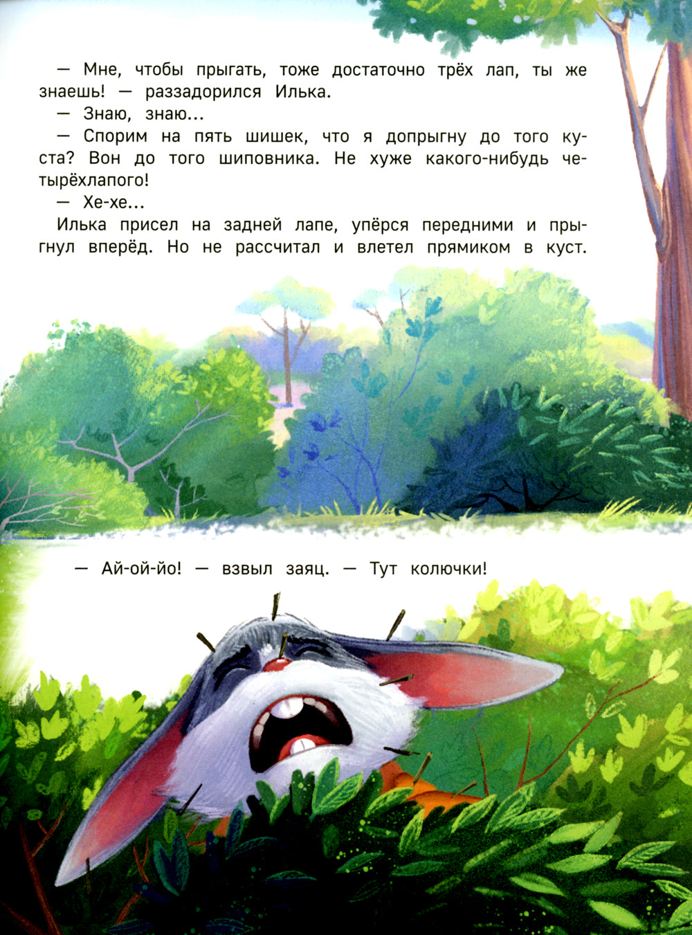 Липовая лапа