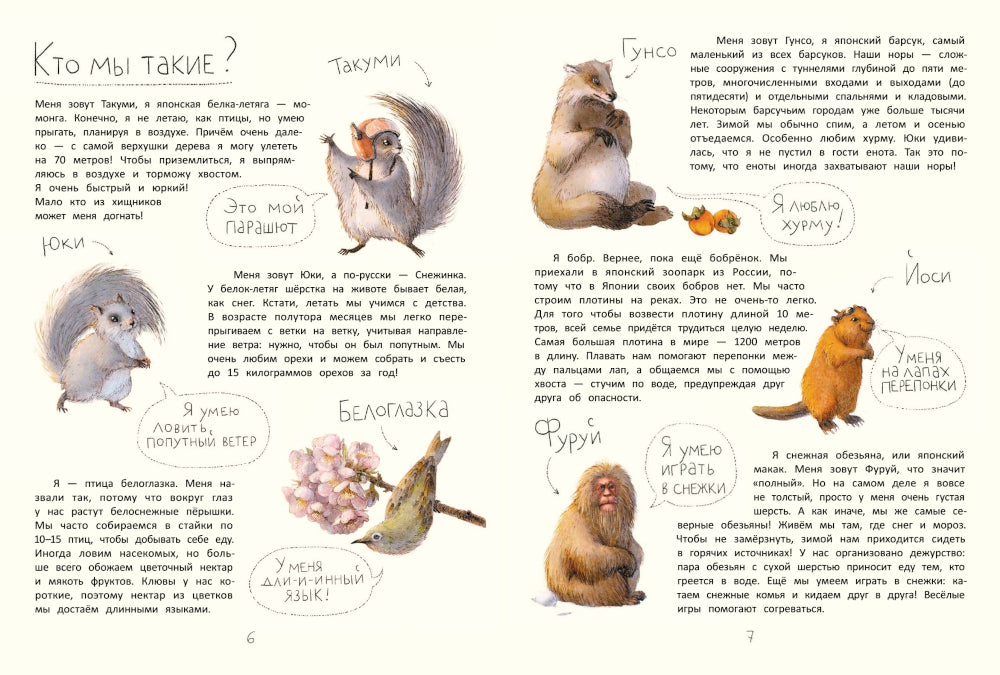 Летяга Такуми в Японии