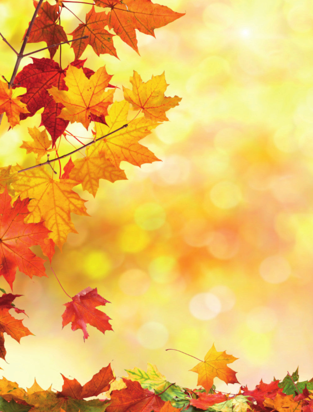 Природа. Большая энциклопедия для маленьких