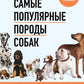 Самые популярные породы собак