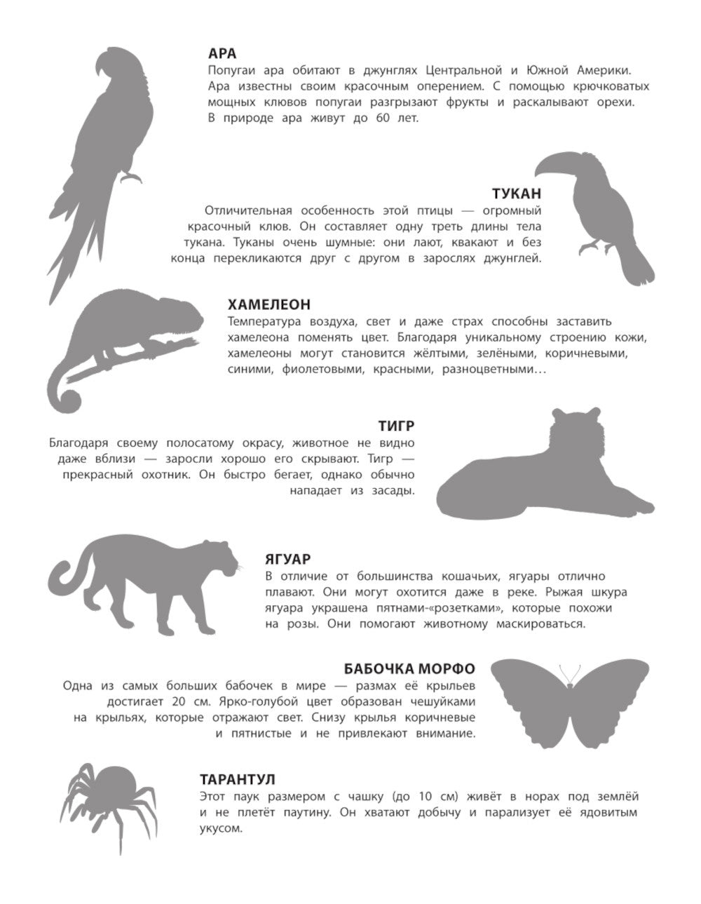 В джунглях. 150 pièces : обучающая книга-игра