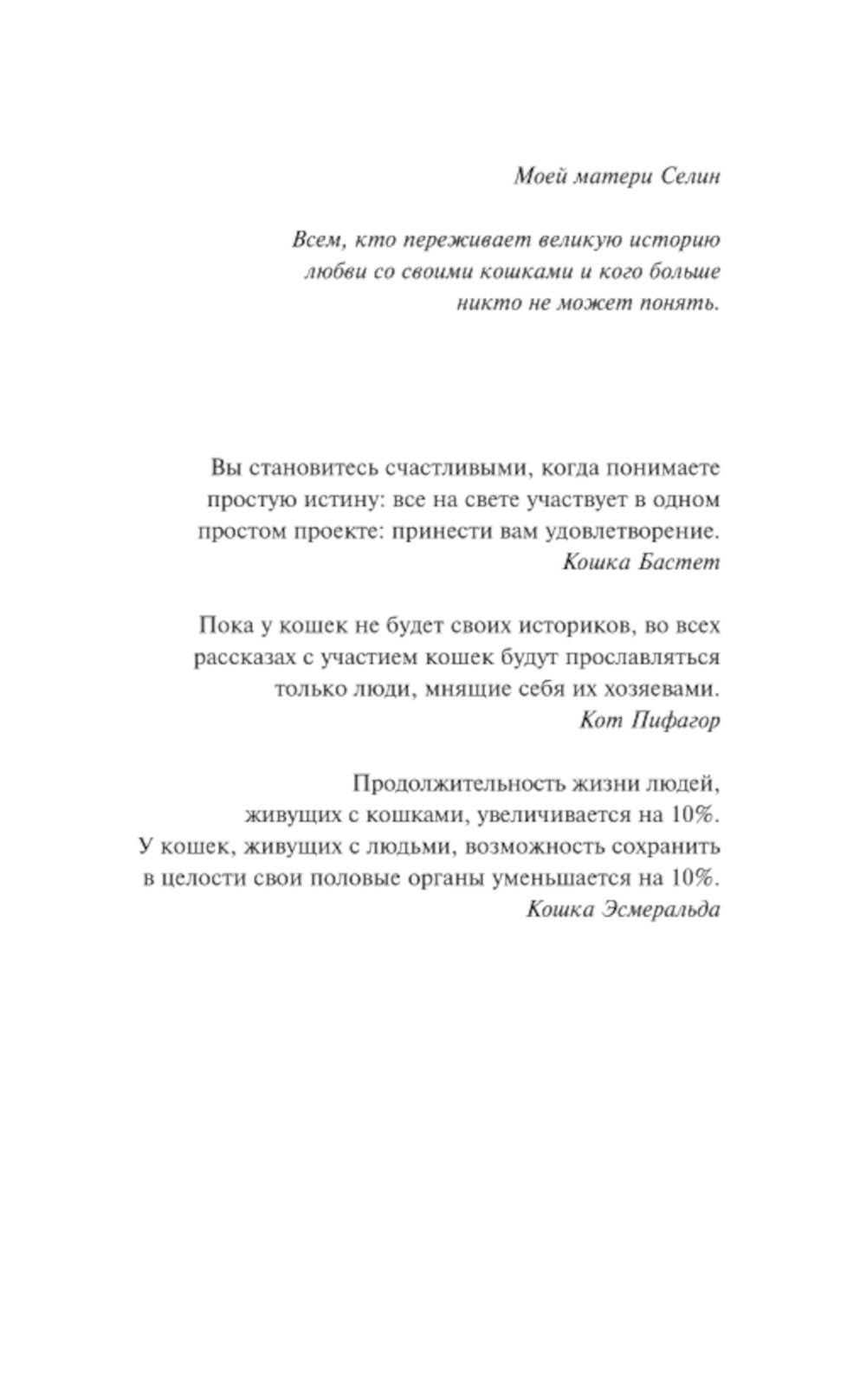 Планета кошек