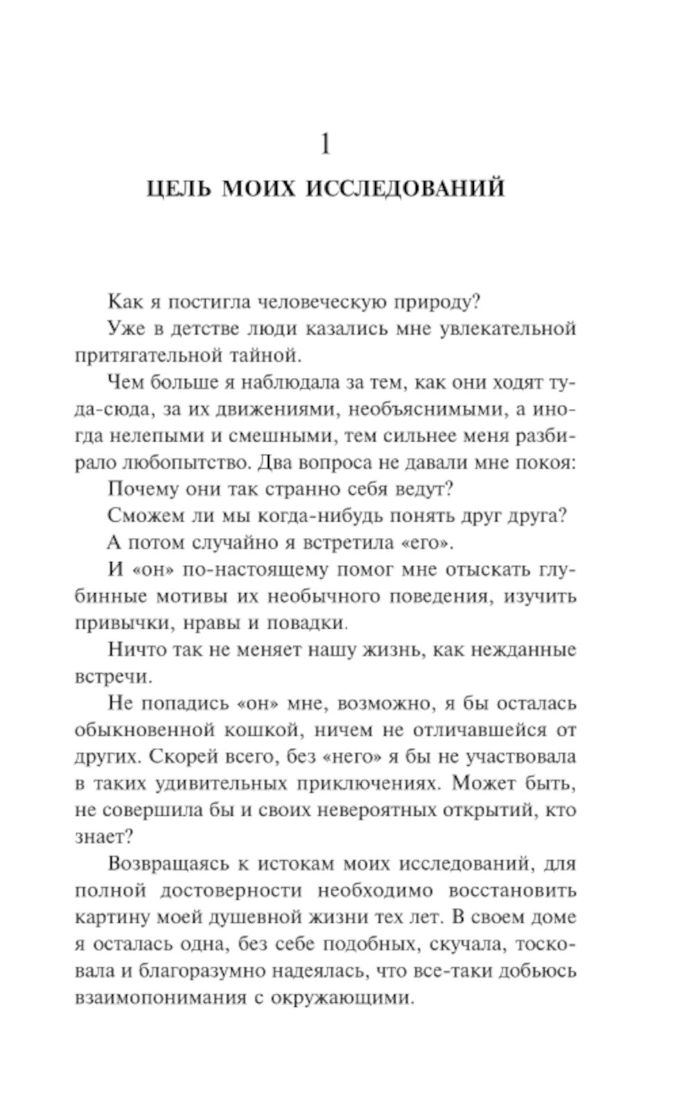 Завтрашний день кошки