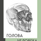 Голова человека. Академический рисунок