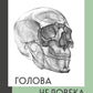 Голова человека. Академический рисунок