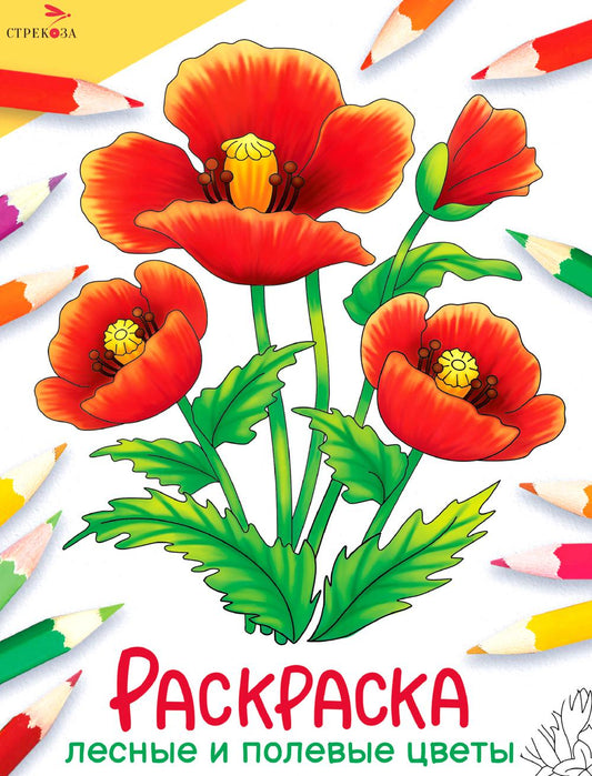 Thèmes de loisirs et de divertissement : раскраска