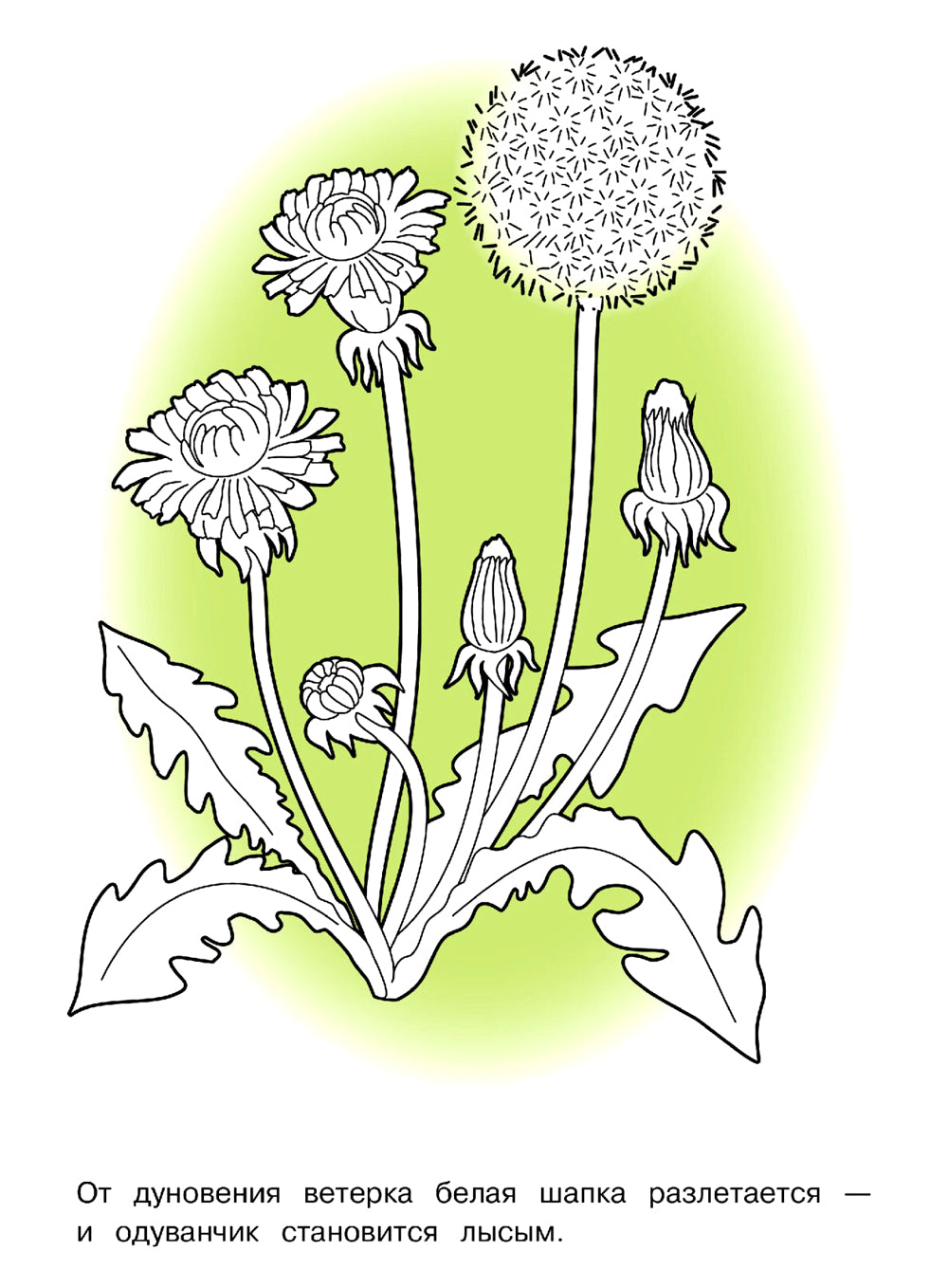 Thèmes de loisirs et de divertissement : раскраска