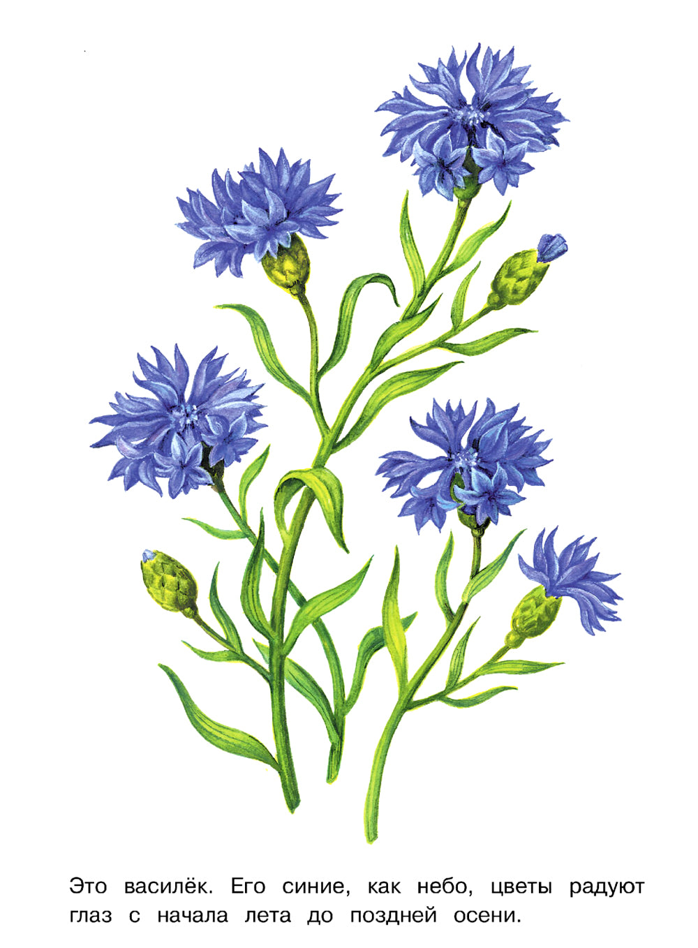 Thèmes de loisirs et de divertissement : раскраска