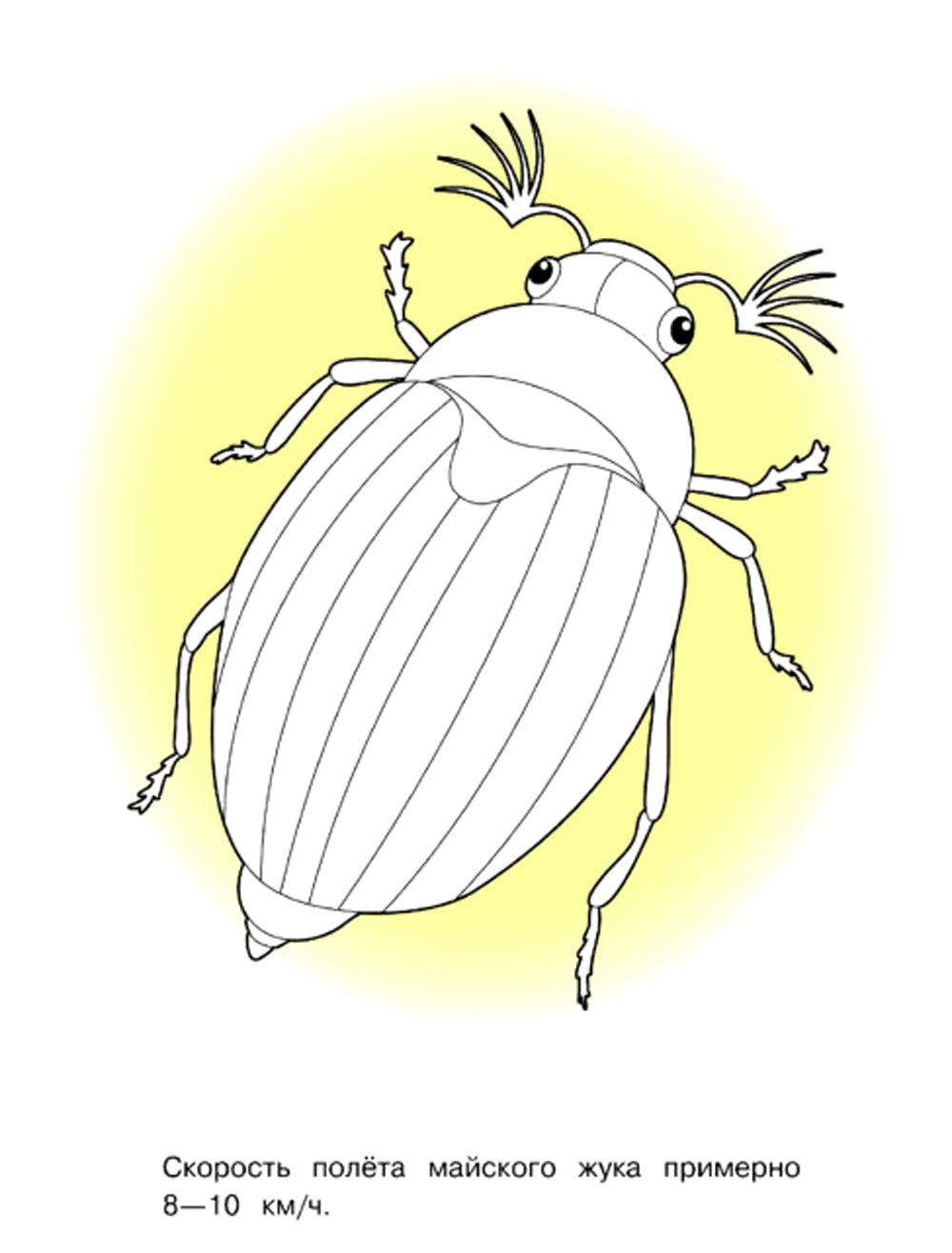 Насекомые: раскраска