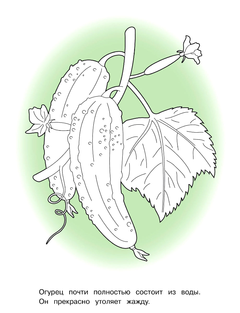 Objet : раскраска