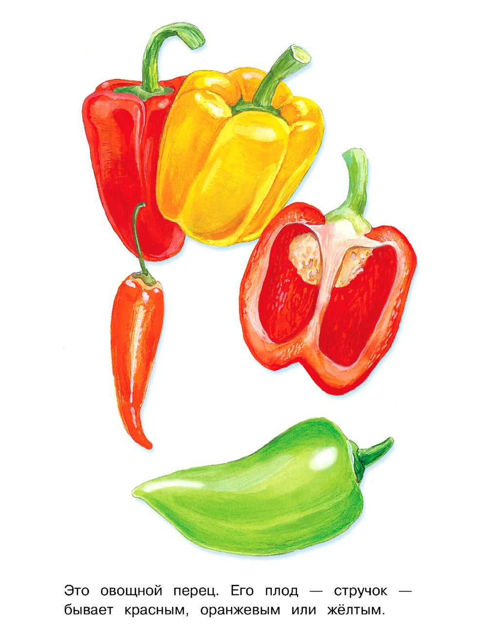 Objet : раскраска