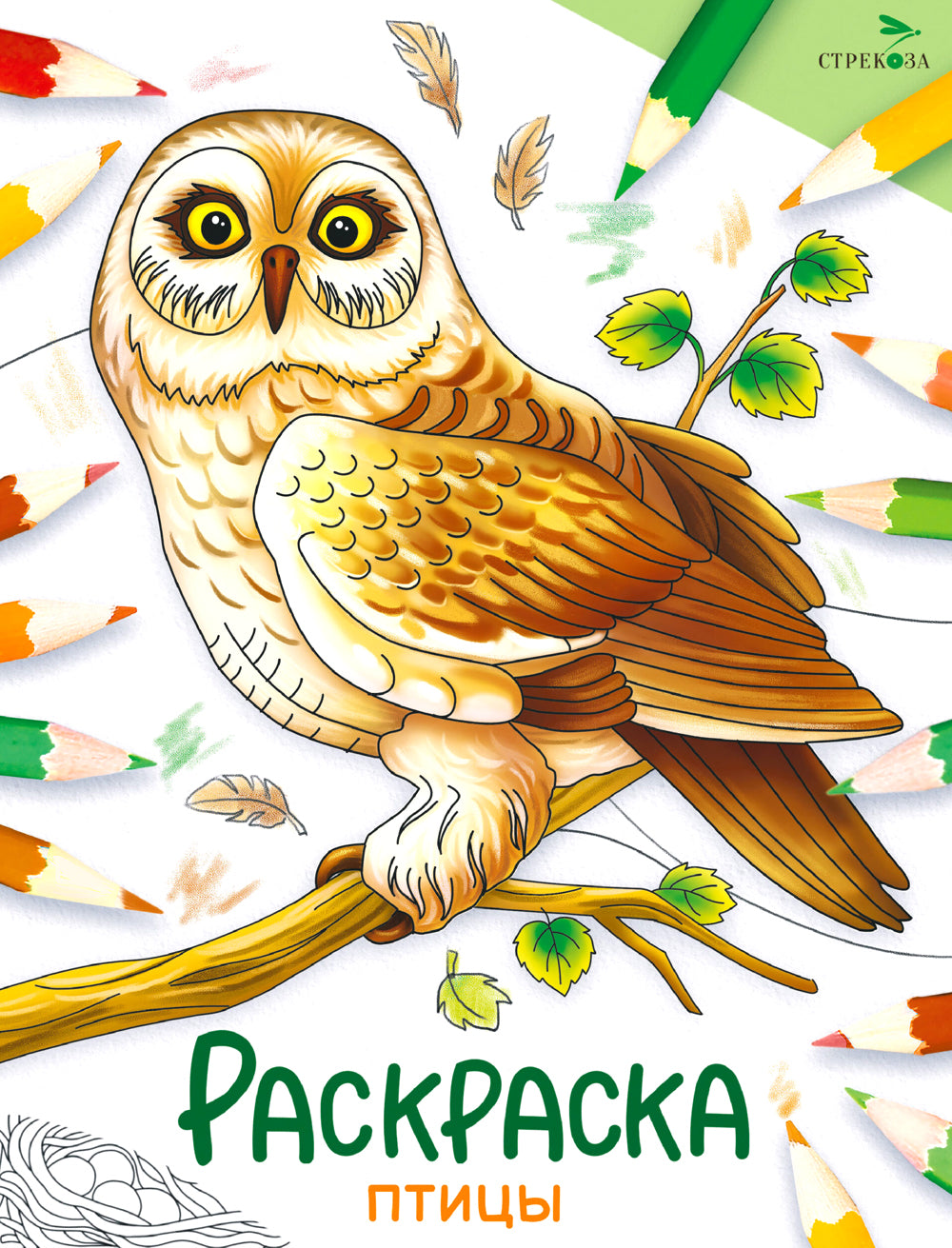 Points : раскраска