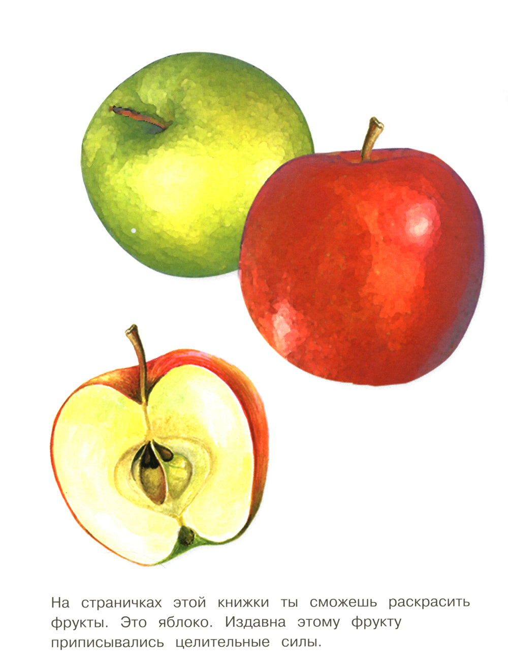 Фрукты: раскраска