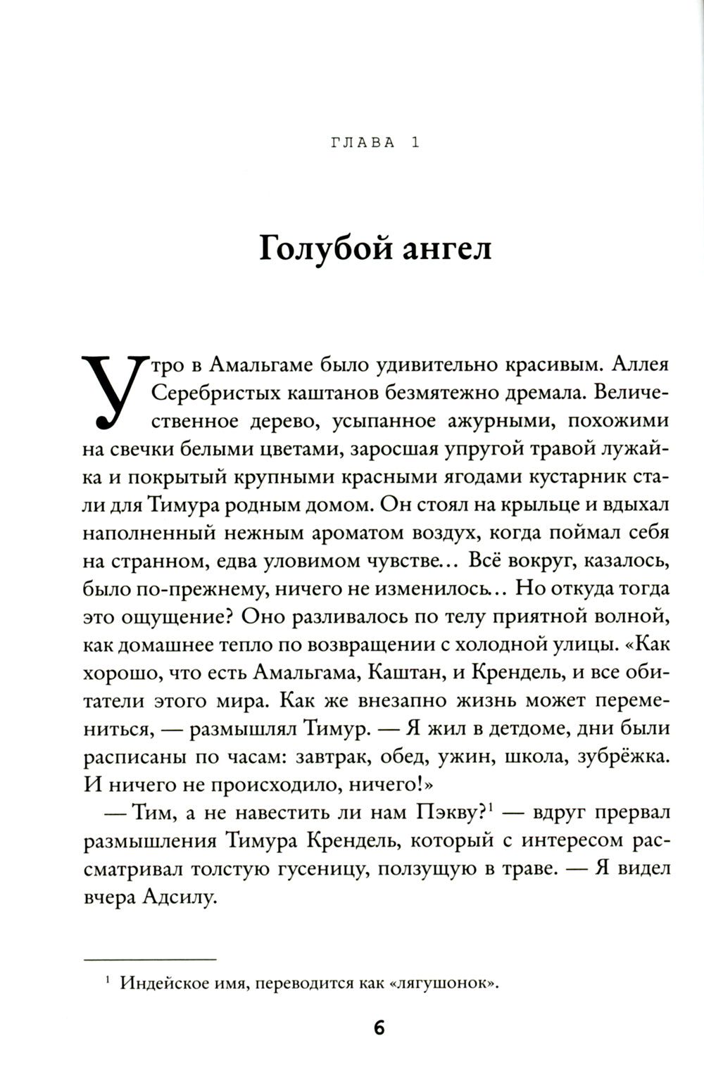 Странник Тим. Миражи Амальгамы. Кн. 2