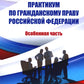 Практикум по ГП РФ. Особенная часть