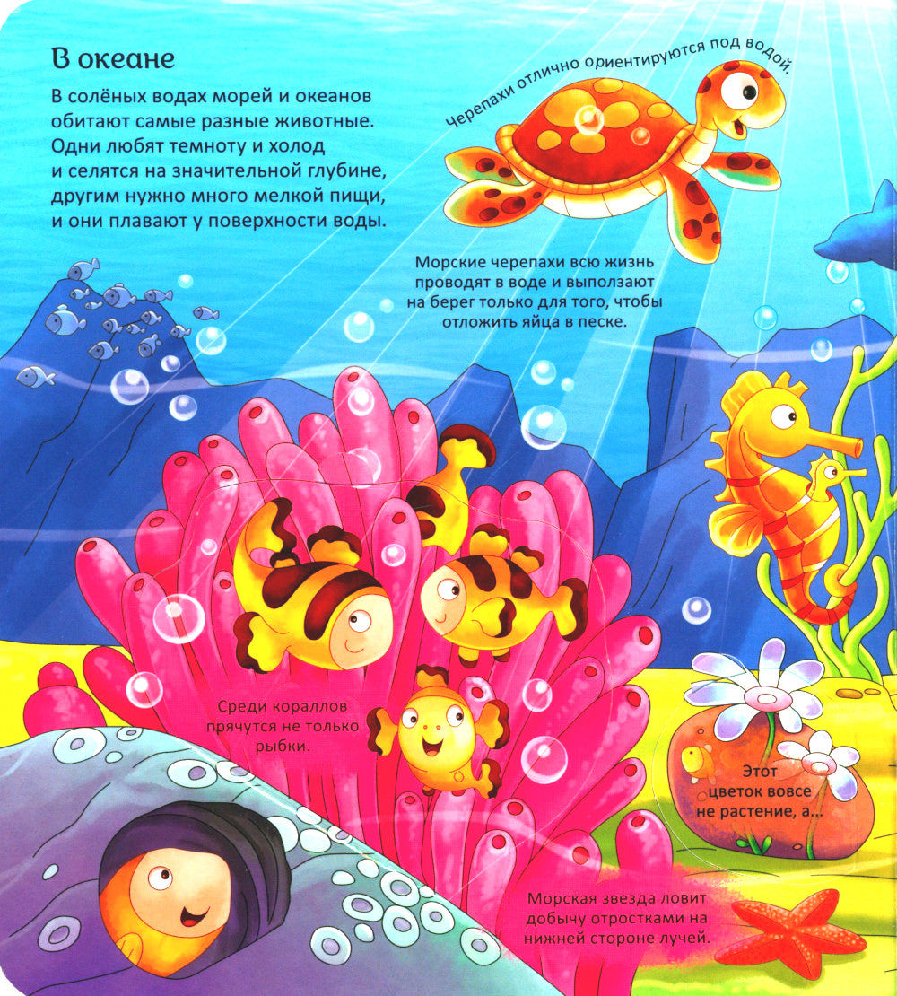 Животные. Энциклопедия с окошками