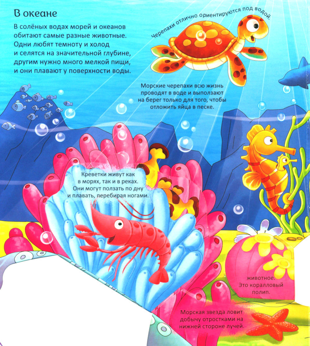 Животные. Энциклопедия с окошками