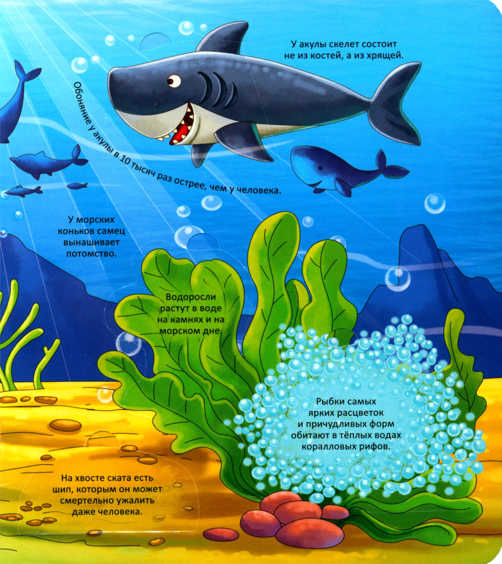 Животные. Энциклопедия с окошками