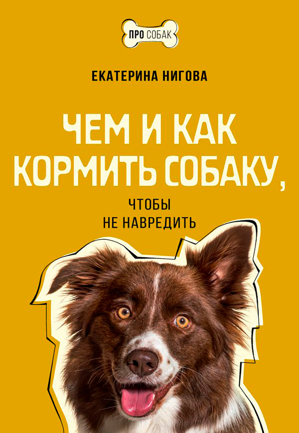 Чем и как кормить собаку, чтобы не навредить