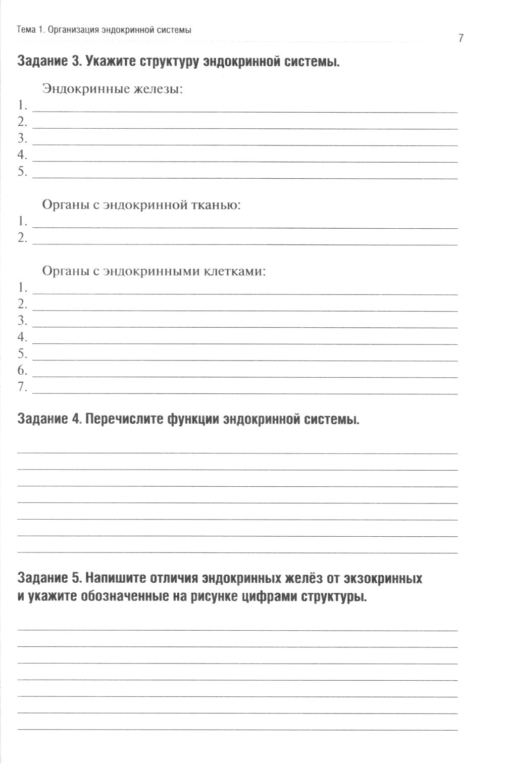 Анатомия человека: Спланхнология Ч. 6: Эндокринная система, иммунная и лимфатическая системы: Тетрадь-практикум