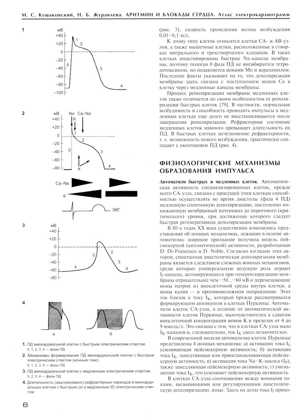 Аритмии и блокады сердца: атлас электрокардиограмм. 5-е изд., перераб. je suis d'accord