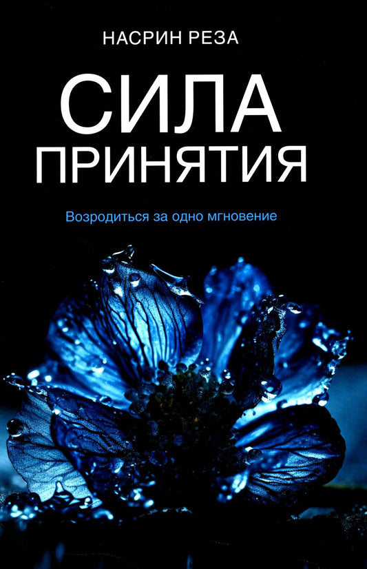 Сила принятия. Возродиться за одно мгновение