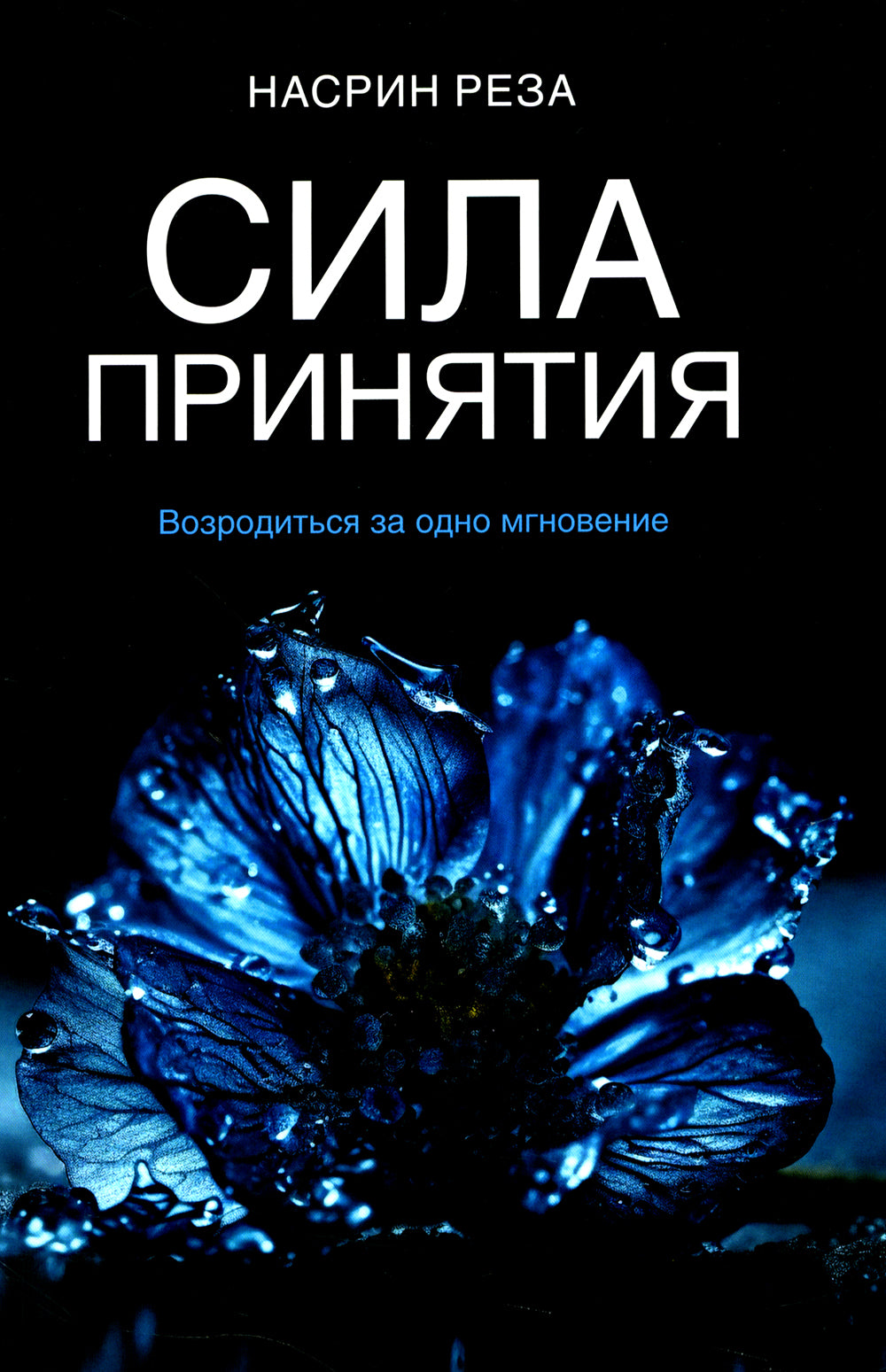 Сила принятия. Возродиться за одно мгновение