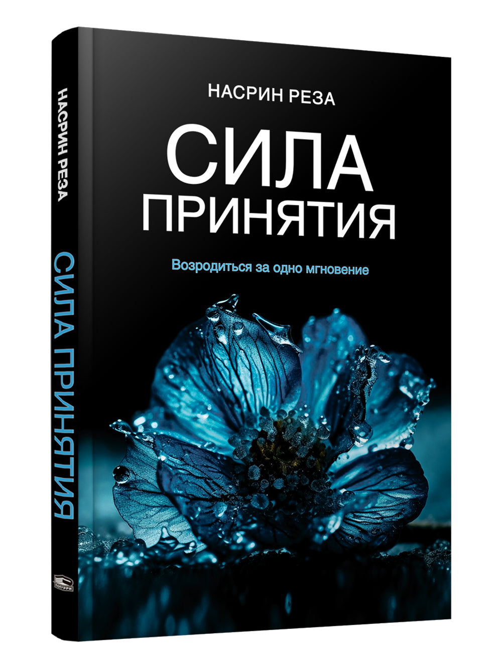 Сила принятия. Возродиться за одно мгновение