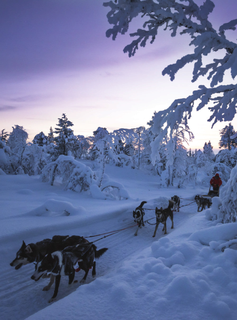 Охота за приключениями. В поисках уникальных сюжетов от Кавказа до Дальнего Востока