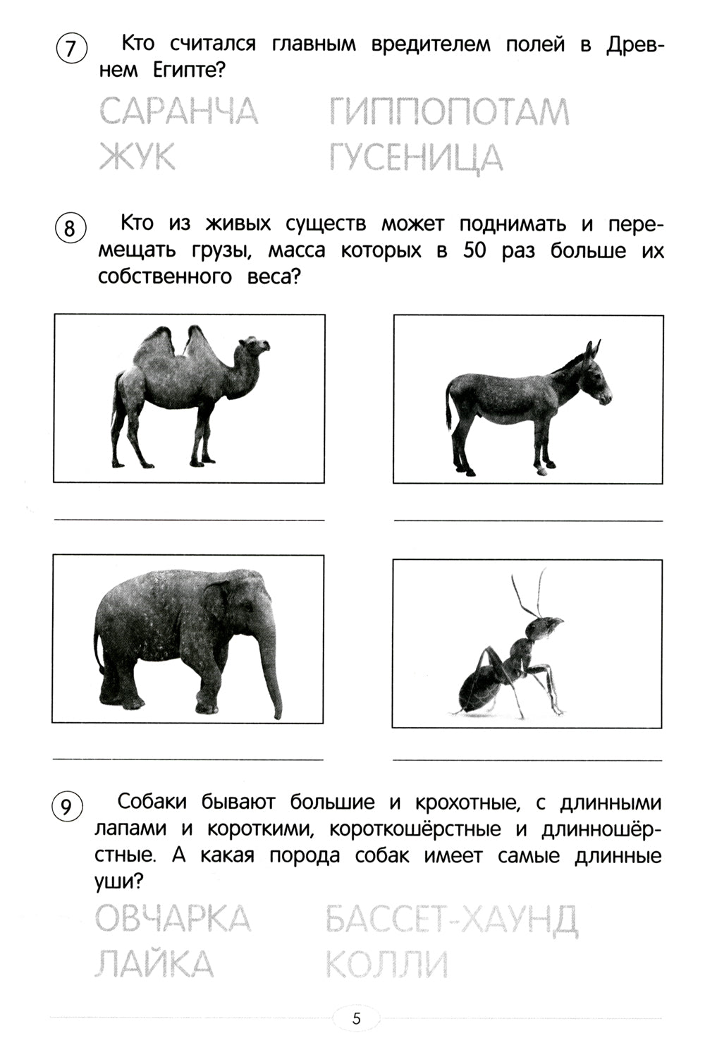 Обучающие тесты: в мире животных: 7-8 лет