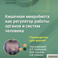Кишечная микробиота как регулятор работы органов и систем человека: руководство для врачей
