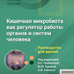 Кишечная микробиота как регулятор работы органов и систем человека: руководство для врачей