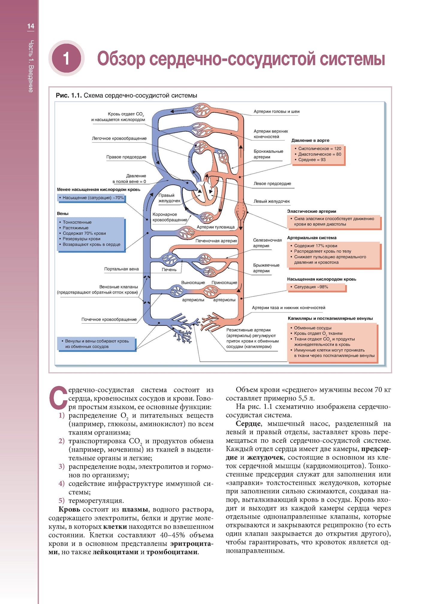 Наглядная кардиология. 2-e jour