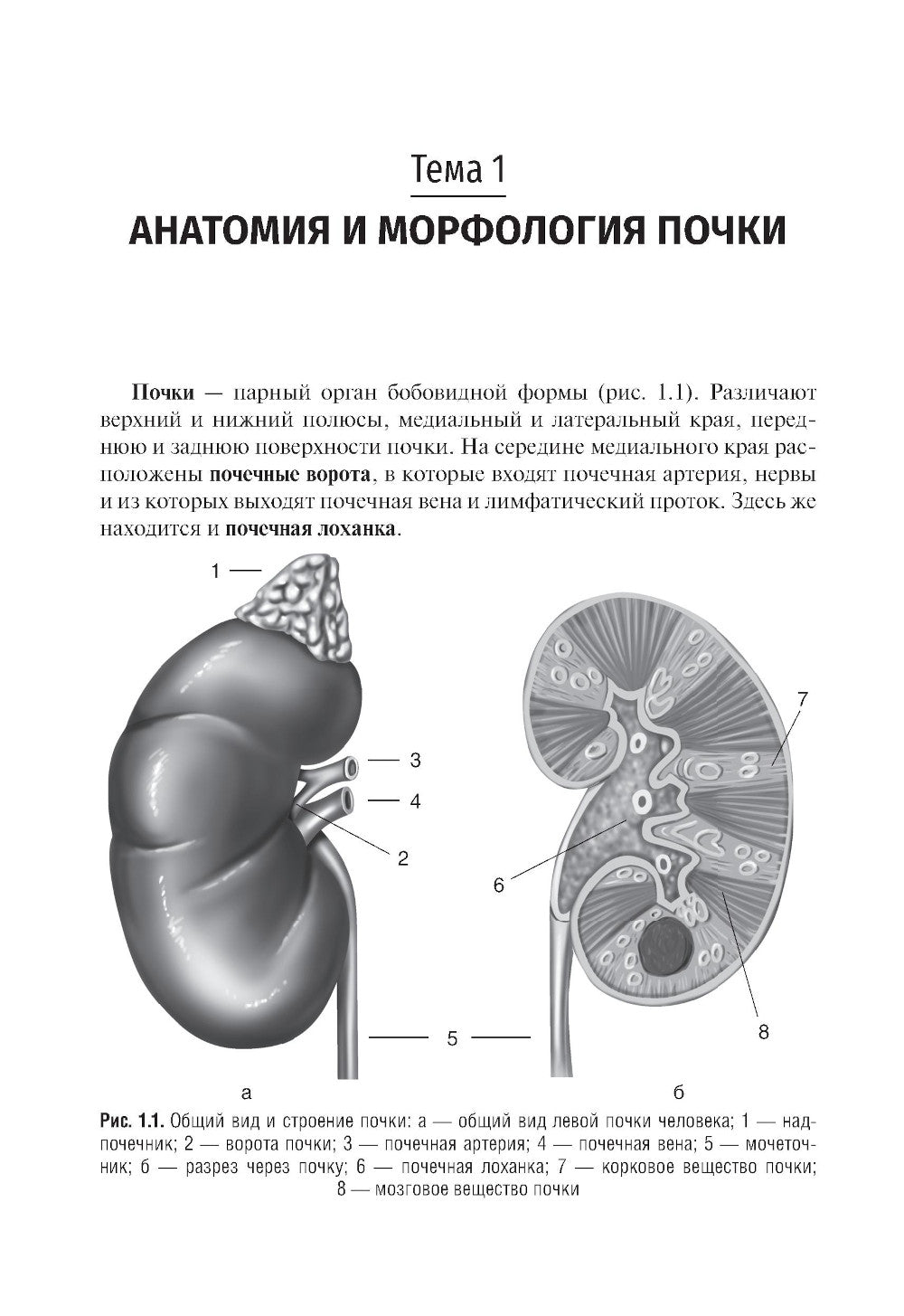 Клиническая нефрология: Учебное пособие