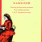 Дамы без камелей: письма публичных женщин Н.А. Добролюбову и Н.Г. Чернышевскому