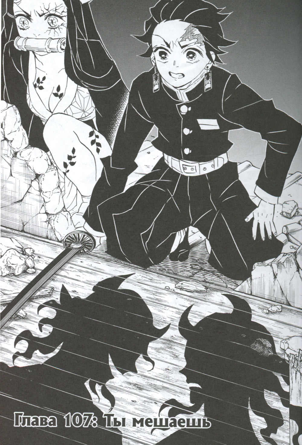 Истребитель демонов. Т. 13: Перемены: manga