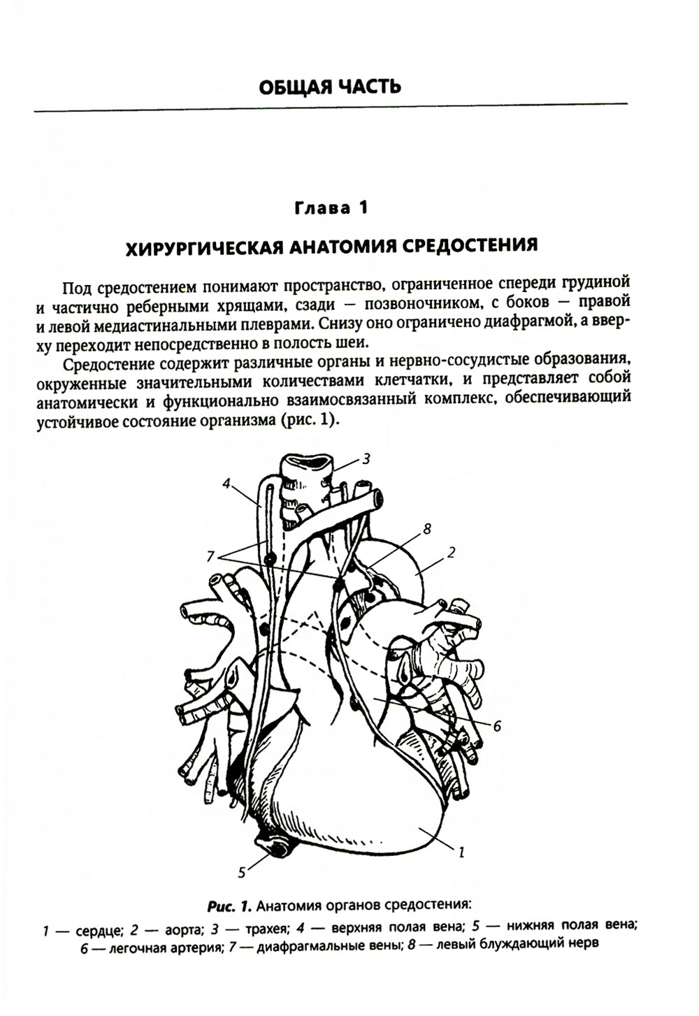 Хирургия средостения. Руководство для врачей