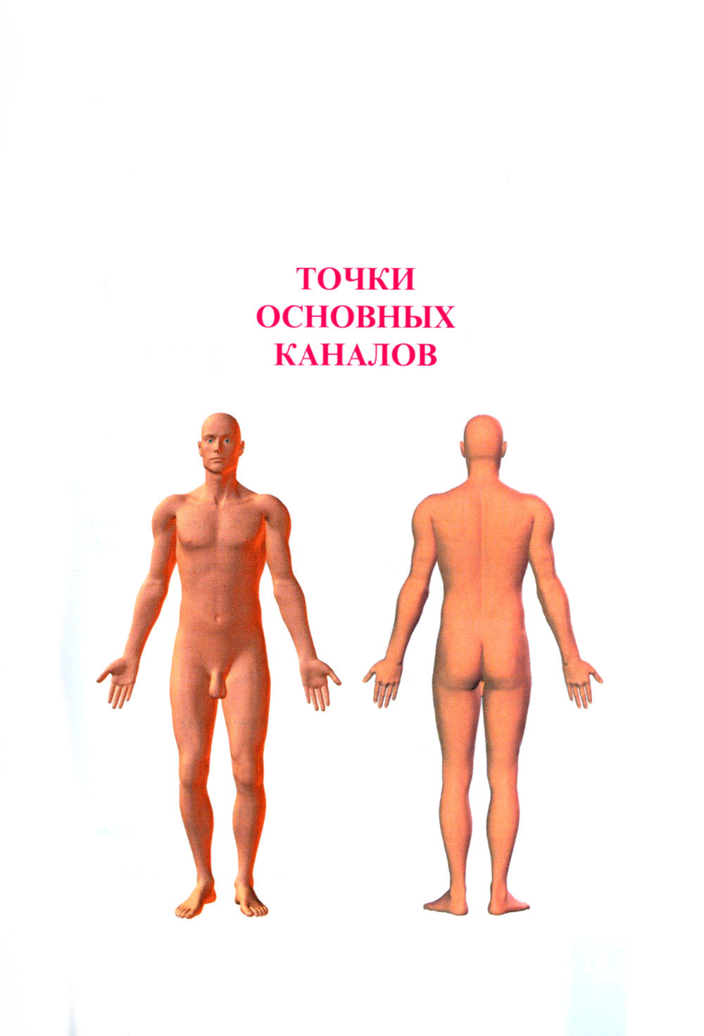 Карманный атлас акупунктуры. 4-е изд