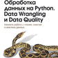 Обработка данных на Python. Data Wrangling и Data Quality