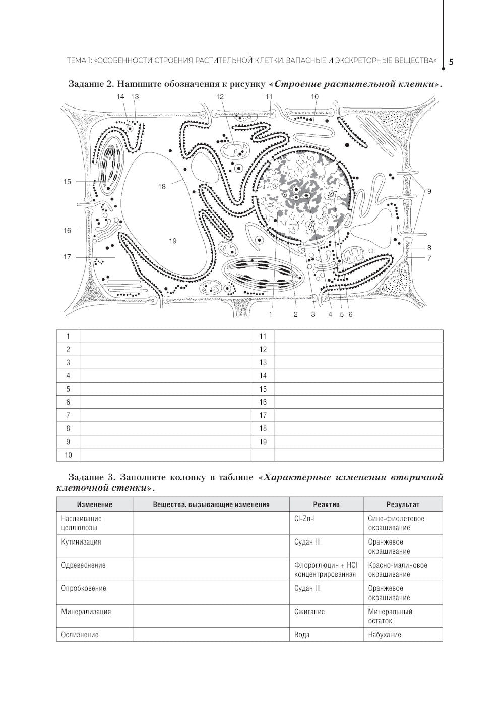 Botanique. Рабочая тетрадь: Учебное пособие